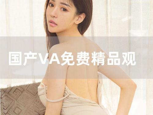 国产va在线观看视频,畅享视听盛宴，解锁精彩瞬间
